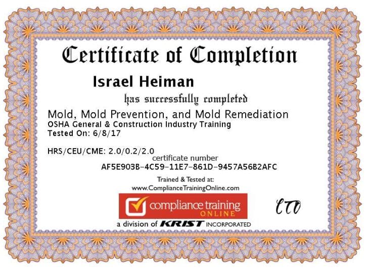 הסמכה לטיפול בעובש